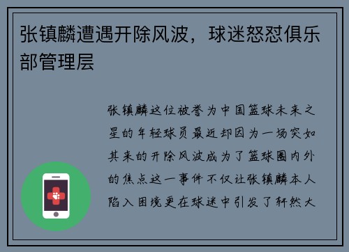 张镇麟遭遇开除风波，球迷怒怼俱乐部管理层